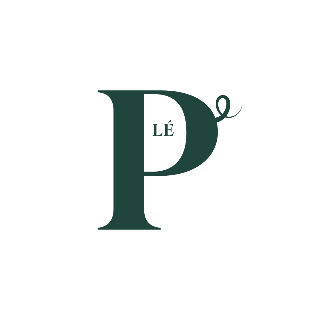 03-Le-P-Pig-Logo-Design-by-Damian-Herrington-Buy-modern-unique-logos-colour